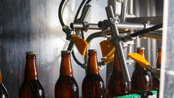 Beer Bottles On The Conveyor Belt